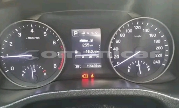 Buy Used Hyundai Elantra Other Car in as–Suwayq in al-Batinah Buy Used Hyundai Elantra Other Car in as–Suwayq in al-Batinah