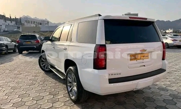 Buy Used Toyota Axio White Car in as–Suwayq in al-Batinah Buy Used Toyota Axio White Car in as–Suwayq in al-Batinah