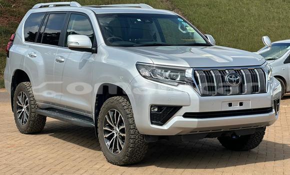 Buy Used Toyota Land Cruiser Prado White Car in Muscat in Masqat Buy Used Toyota Land Cruiser Prado White Car in Muscat in Masqat