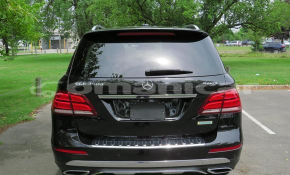 Buy Used Mercedes-Benz GLE Black Car in Muscat in Masqat Buy Used Mercedes-Benz GLE Black Car in Muscat in Masqat