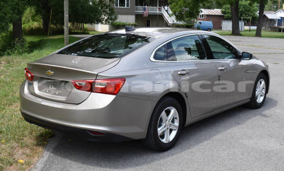 Buy Used Chevrolet Malibu Other Car in Muscat in Masqat Buy Used Chevrolet Malibu Other Car in Muscat in Masqat