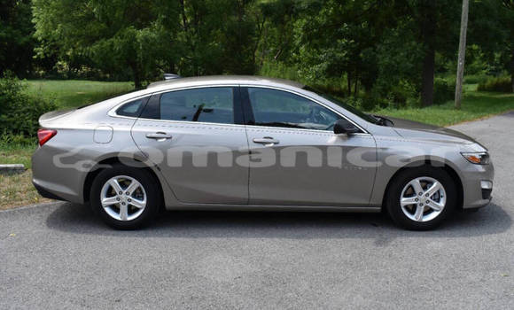 Buy Used Chevrolet Malibu Other Car in Muscat in Masqat Buy Used Chevrolet Malibu Other Car in Muscat in Masqat