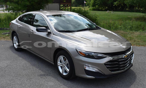 Buy Used Chevrolet Malibu Other Car in Muscat in Masqat Buy Used Chevrolet Malibu Other Car in Muscat in Masqat