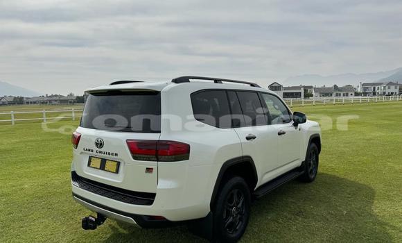 Buy Used Toyota Land Cruiser White Car in Muscat in Masqat Buy Used Toyota Land Cruiser White Car in Muscat in Masqat