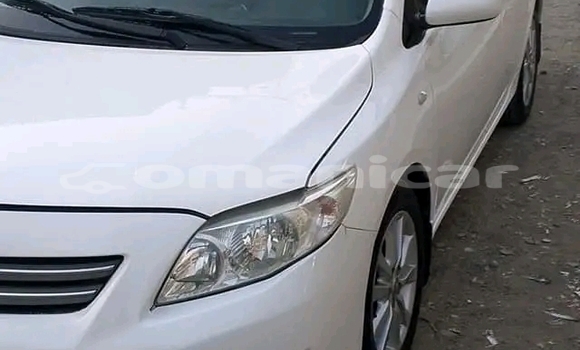 Buy Used Toyota Corolla White Car in as–Suwayq in al-Batinah Buy Used Toyota Corolla White Car in as–Suwayq in al-Batinah