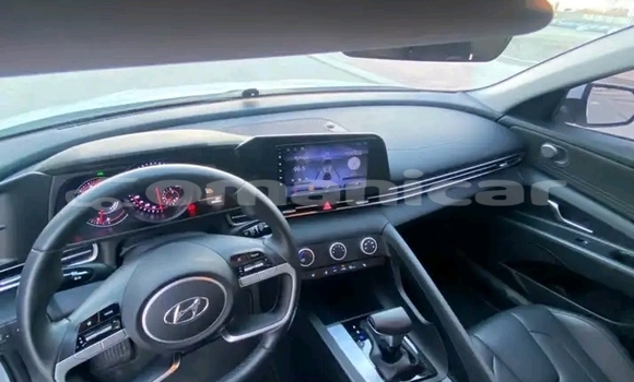 Buy Used Hyundai Elantra White Car in Khasab in Musandam Buy Used Hyundai Elantra White Car in Khasab in Musandam