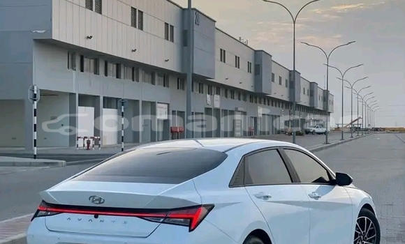 Buy Used Hyundai Elantra White Car in Khasab in Musandam Buy Used Hyundai Elantra White Car in Khasab in Musandam