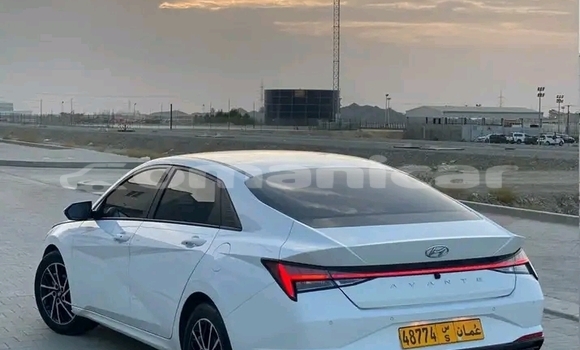 Buy Used Hyundai Elantra White Car in Khasab in Musandam Buy Used Hyundai Elantra White Car in Khasab in Musandam