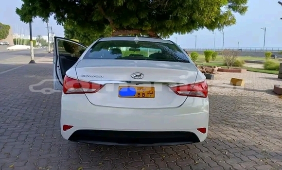 Buy Used Hyundai Sonata White Car in as–Suwayq in al-Batinah Buy Used Hyundai Sonata White Car in as–Suwayq in al-Batinah