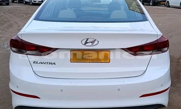 Buy Used Hyundai Elantra White Car in as–Suwayq in al-Batinah Buy Used Hyundai Elantra White Car in as–Suwayq in al-Batinah