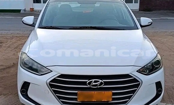 Buy Used Hyundai Elantra White Car in as–Suwayq in al-Batinah Buy Used Hyundai Elantra White Car in as–Suwayq in al-Batinah