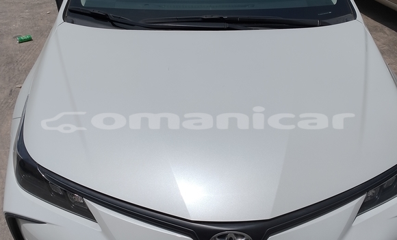Buy Used Toyota Corolla White Car in Muscat in Masqat Buy Used Toyota Corolla White Car in Muscat in Masqat