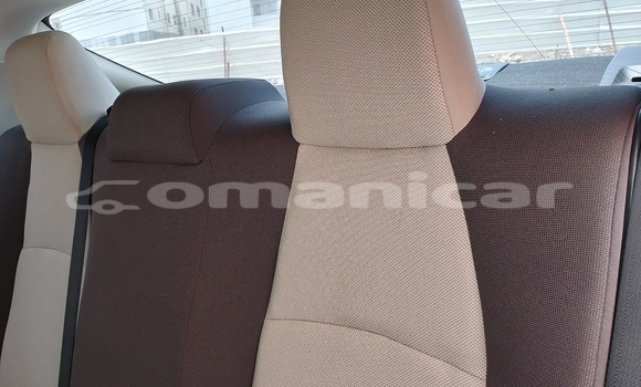 Buy Used Toyota Corolla White Car in Muscat in Masqat Buy Used Toyota Corolla White Car in Muscat in Masqat