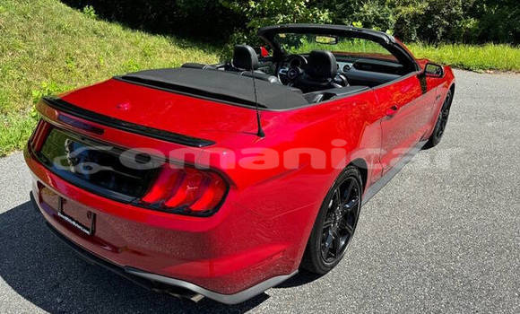 Buy Used Ford Mustang Red Car in Muscat in Masqat Buy Used Ford Mustang Red Car in Muscat in Masqat