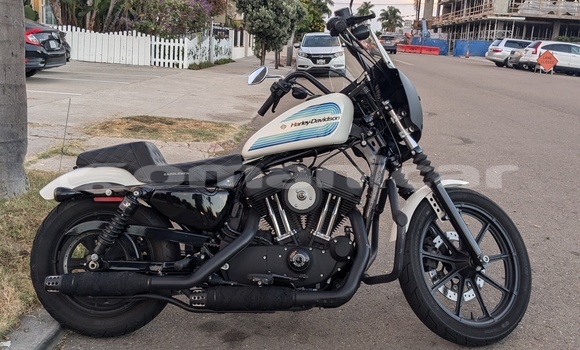 Buy Used Harley Davidson Sportster White Bike in Muscat in Masqat