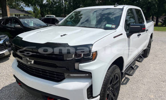 Buy Used Chevrolet Silverado White Car in Muscat in Masqat Buy Used Chevrolet Silverado White Car in Muscat in Masqat