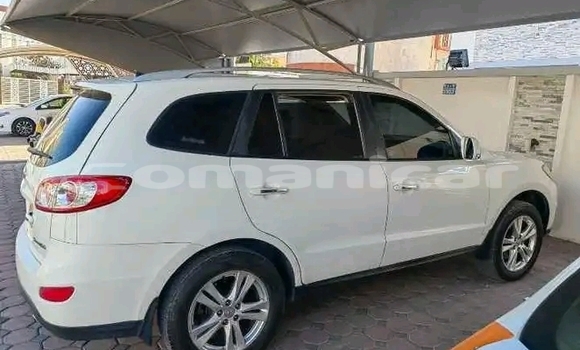 Buy Used Hyundai Elantra White Car in as–Suwayq in al-Batinah Buy Used Hyundai Elantra White Car in as–Suwayq in al-Batinah