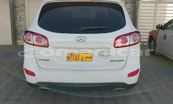 Buy Used Hyundai Elantra White Car in as–Suwayq in al-Batinah Buy Used Hyundai Elantra White Car in as–Suwayq in al-Batinah
