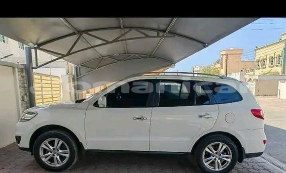 Buy Used Hyundai Elantra White Car in as–Suwayq in al-Batinah Buy Used Hyundai Elantra White Car in as–Suwayq in al-Batinah