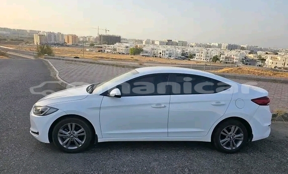 Buy Used Hyundai Elantra White Car in Madinat Qabus in Masqat Buy Used Hyundai Elantra White Car in Madinat Qabus in Masqat