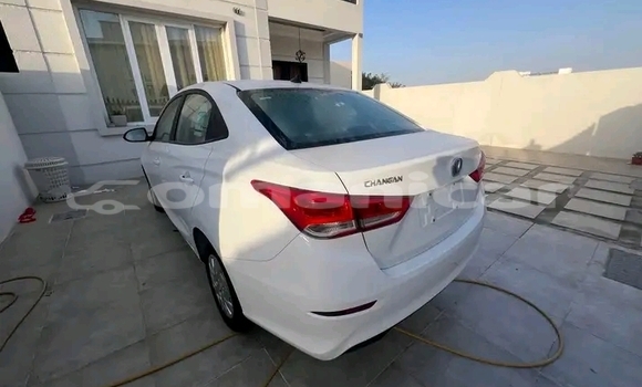 Buy Used Changan Z-Shine White Car in as–Sib in Masqat Buy Used Changan Z-Shine White Car in as–Sib in Masqat