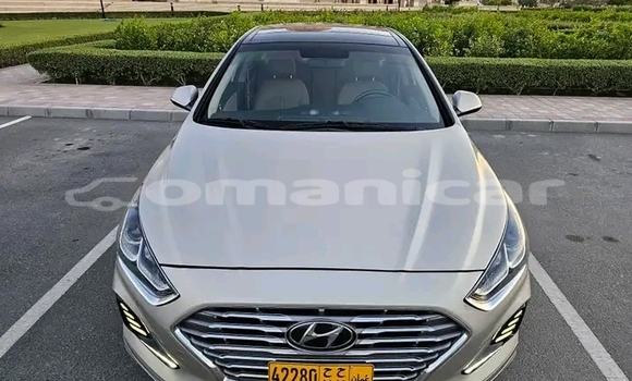 Buy Used Hyundai Sonata Other Car in Rusayl in Rusayl Buy Used Hyundai Sonata Other Car in Rusayl in Rusayl
