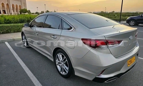 Buy Used Hyundai Sonata Other Car in Rusayl in Rusayl Buy Used Hyundai Sonata Other Car in Rusayl in Rusayl