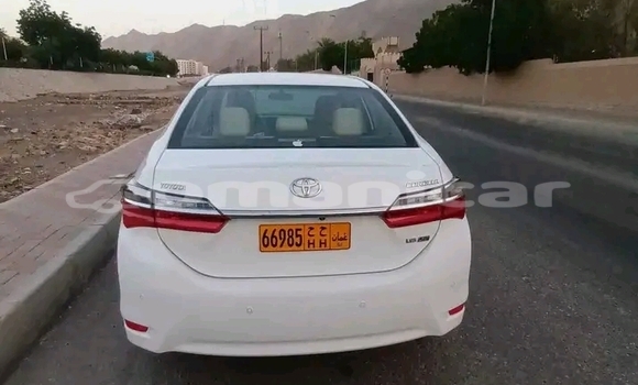 Buy Used Toyota Corolla White Car in Rusayl in Rusayl Buy Used Toyota Corolla White Car in Rusayl in Rusayl