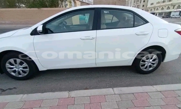 Buy Used Toyota Corolla White Car in Rusayl in Rusayl Buy Used Toyota Corolla White Car in Rusayl in Rusayl