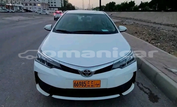 Buy Used Toyota Corolla White Car in Rusayl in Rusayl Buy Used Toyota Corolla White Car in Rusayl in Rusayl