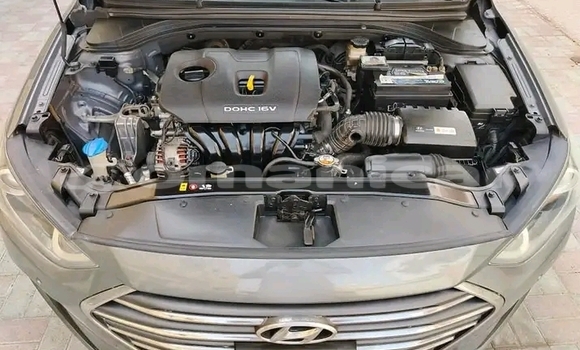 Buy Used Hyundai Elantra Other Car in Matrah in Masqat Buy Used Hyundai Elantra Other Car in Matrah in Masqat