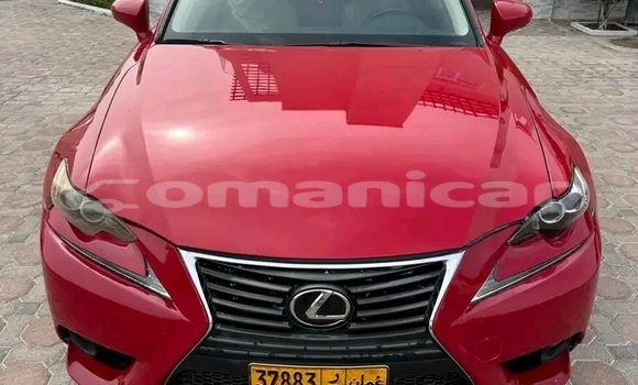 Buy Used Lexus IS Red Car in Shinas in al-Batinah Buy Used Lexus IS Red Car in Shinas in al-Batinah