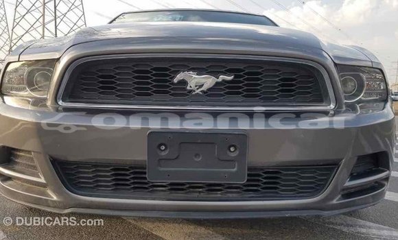 Buy Import Ford Mustang Other Car in Import - Dubai in Dhufar Buy Import Ford Mustang Other Car in Import - Dubai in Dhufar