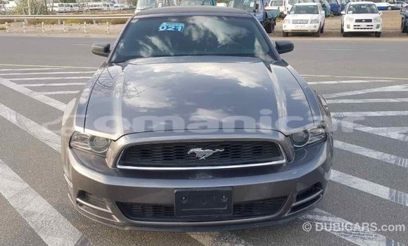 Buy Import Ford Mustang Other Car in Import - Dubai in Dhufar Buy Import Ford Mustang Other Car in Import - Dubai in Dhufar