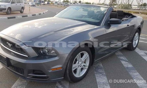 Buy Import Ford Mustang Other Car in Import - Dubai in Dhufar Buy Import Ford Mustang Other Car in Import - Dubai in Dhufar