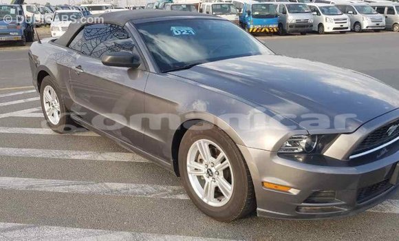 Buy Import Ford Mustang Other Car in Import - Dubai in Dhufar Buy Import Ford Mustang Other Car in Import - Dubai in Dhufar