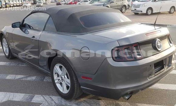 Buy Import Ford Mustang Other Car in Import - Dubai in Dhufar Buy Import Ford Mustang Other Car in Import - Dubai in Dhufar