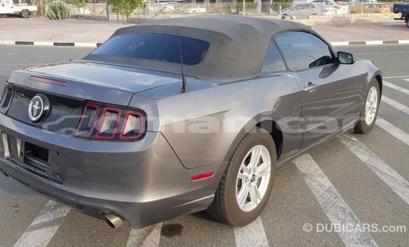 Buy Import Ford Mustang Other Car in Import - Dubai in Dhufar Buy Import Ford Mustang Other Car in Import - Dubai in Dhufar