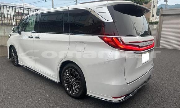 Buy Used Lexus LC White Car in Muscat in Masqat Buy Used Lexus LC White Car in Muscat in Masqat