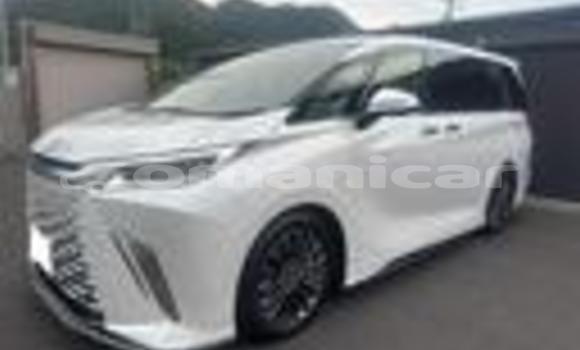 Buy Used Lexus LC White Car in Muscat in Masqat Buy Used Lexus LC White Car in Muscat in Masqat