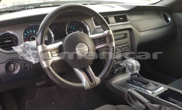 Buy Import Ford Mustang Other Car in Import - Dubai in Dhufar Buy Import Ford Mustang Other Car in Import - Dubai in Dhufar