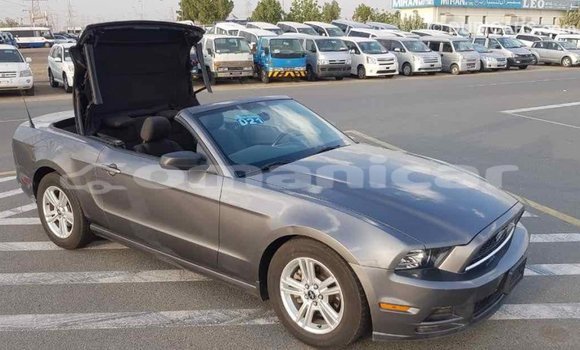 Buy Import Ford Mustang Other Car in Import - Dubai in Dhufar Buy Import Ford Mustang Other Car in Import - Dubai in Dhufar