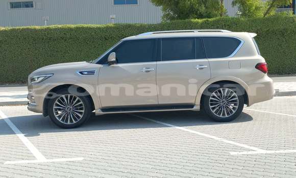 Buy Used Infiniti QX80 Other Car in Muscat in Masqat Buy Used Infiniti QX80 Other Car in Muscat in Masqat