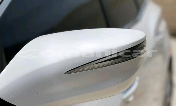 Buy Used Hyundai Elantra White Car in 'Ibri in adh-Dhahirah Buy Used Hyundai Elantra White Car in 'Ibri in adh-Dhahirah