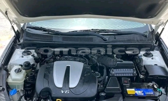 Buy Used Hyundai Elantra White Car in 'Ibri in adh-Dhahirah Buy Used Hyundai Elantra White Car in 'Ibri in adh-Dhahirah