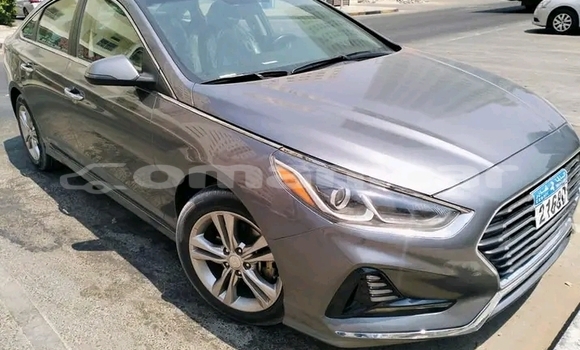 Buy Used Hyundai Sonata Other Car in Sumayl in ad-Dakhiliyah Buy Used Hyundai Sonata Other Car in Sumayl in ad-Dakhiliyah