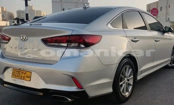 Buy Used Hyundai Sonata Other Car in Rusayl in Rusayl Buy Used Hyundai Sonata Other Car in Rusayl in Rusayl