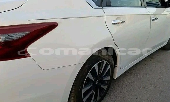 Buy Used Nissan Cedric White Car in as–Sib in Masqat Buy Used Nissan Cedric White Car in as–Sib in Masqat