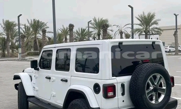 Buy Used Jeep Wrangler White Car in Matrah in Masqat Buy Used Jeep Wrangler White Car in Matrah in Masqat