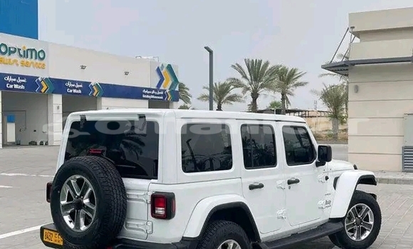 Buy Used Jeep Wrangler White Car in Matrah in Masqat Buy Used Jeep Wrangler White Car in Matrah in Masqat